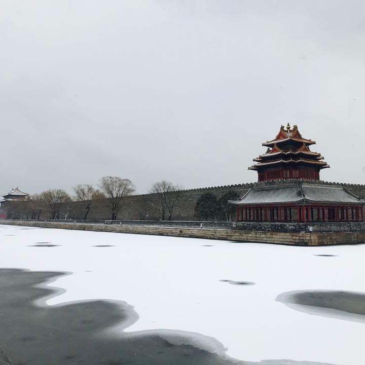 光闹