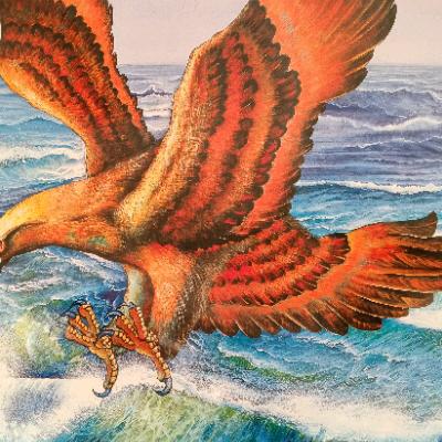 放下包服奔向新方向