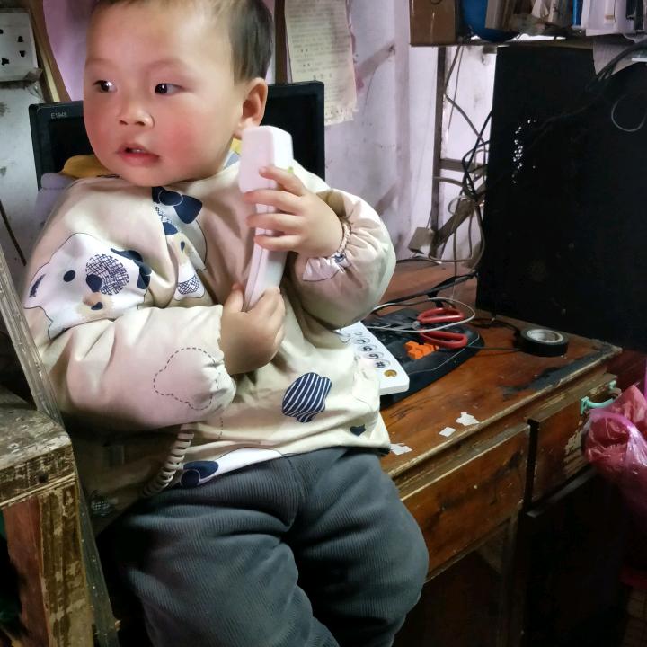 萌萌弟。