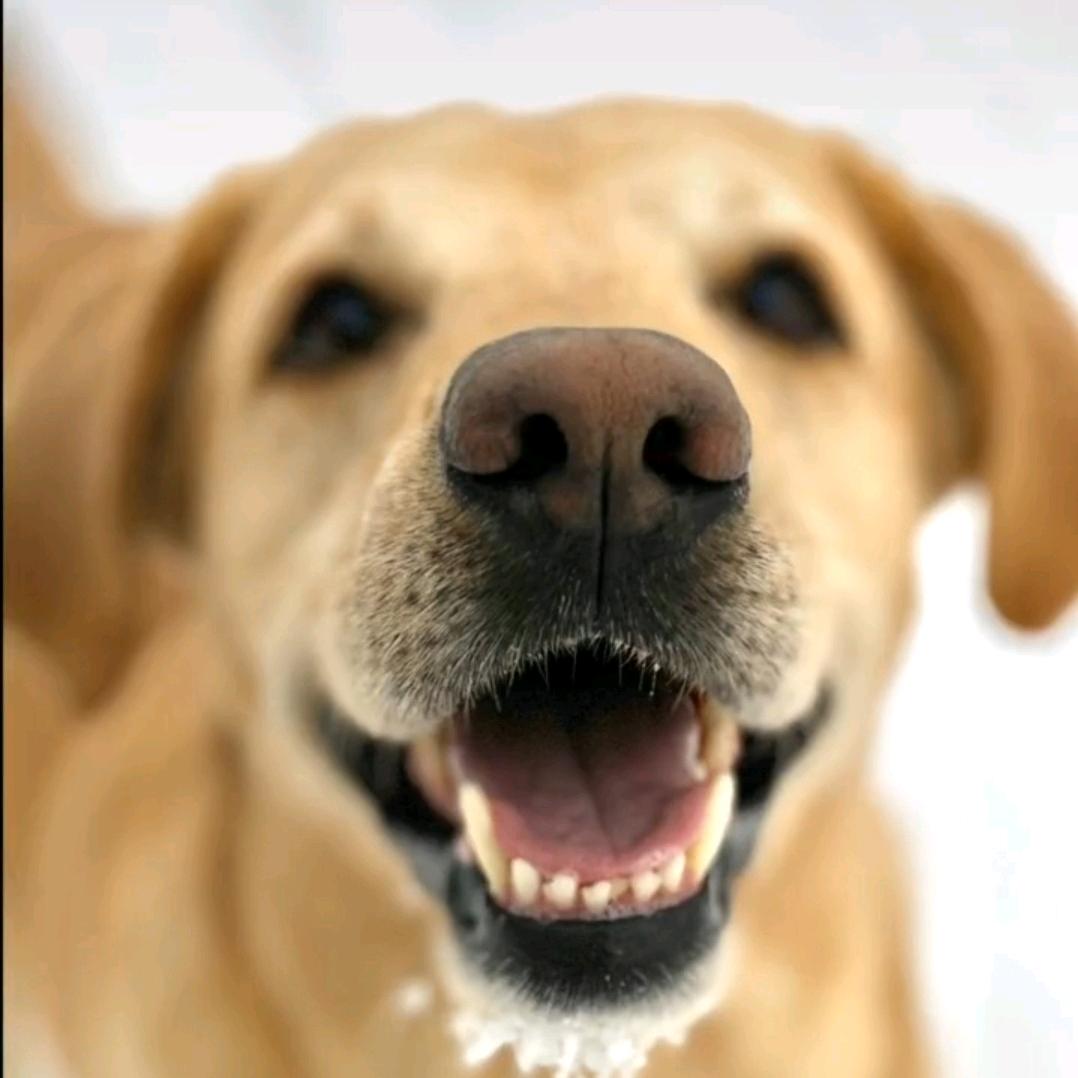 八一是我永远的好朋友