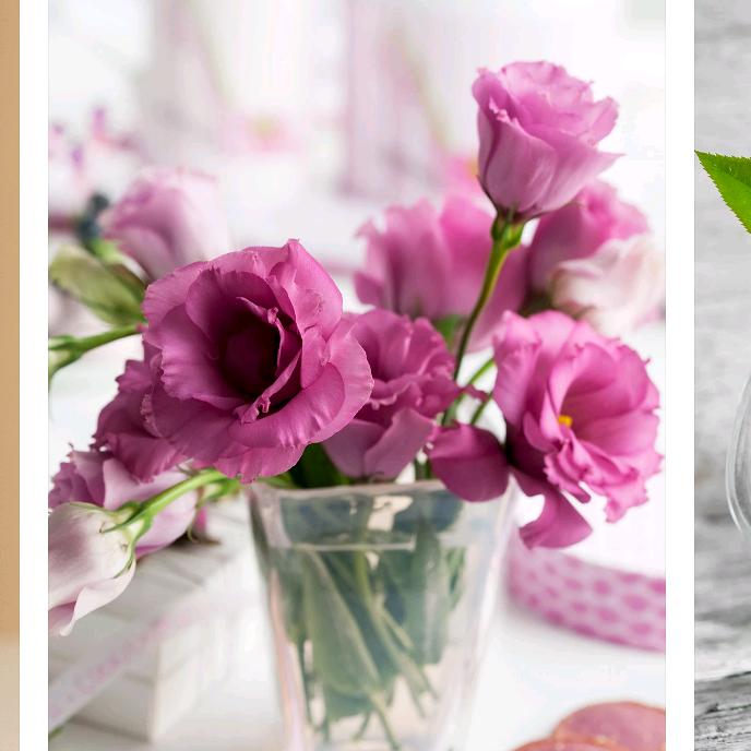 ☞天天好朋友♥支持我☜*^_^*