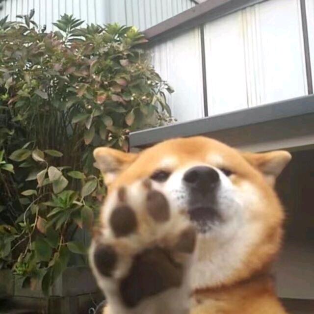 MaOooOo