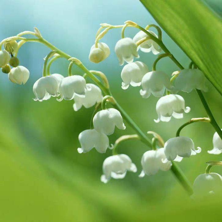 🍁雨霖铃💐