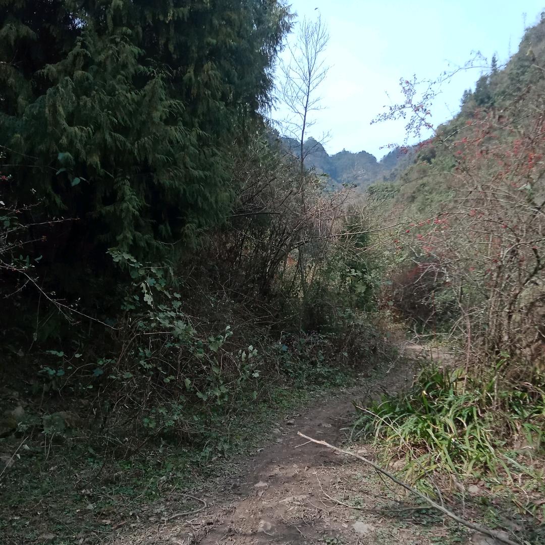 美丽城市