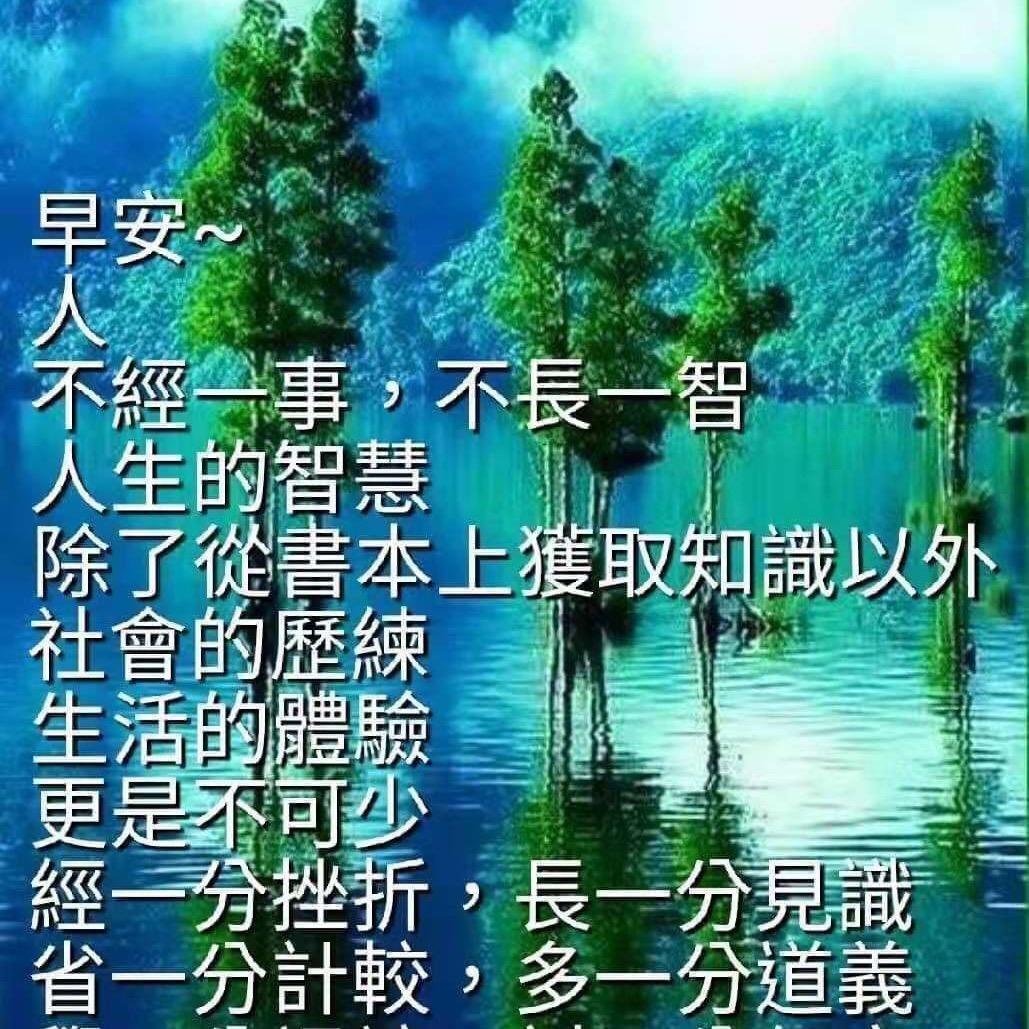 爱的港湾