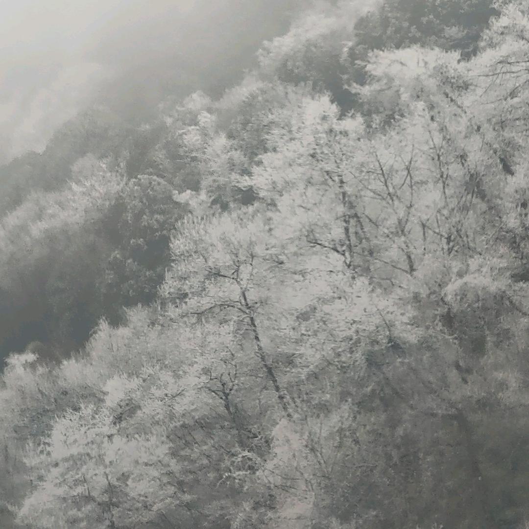 川西小哥