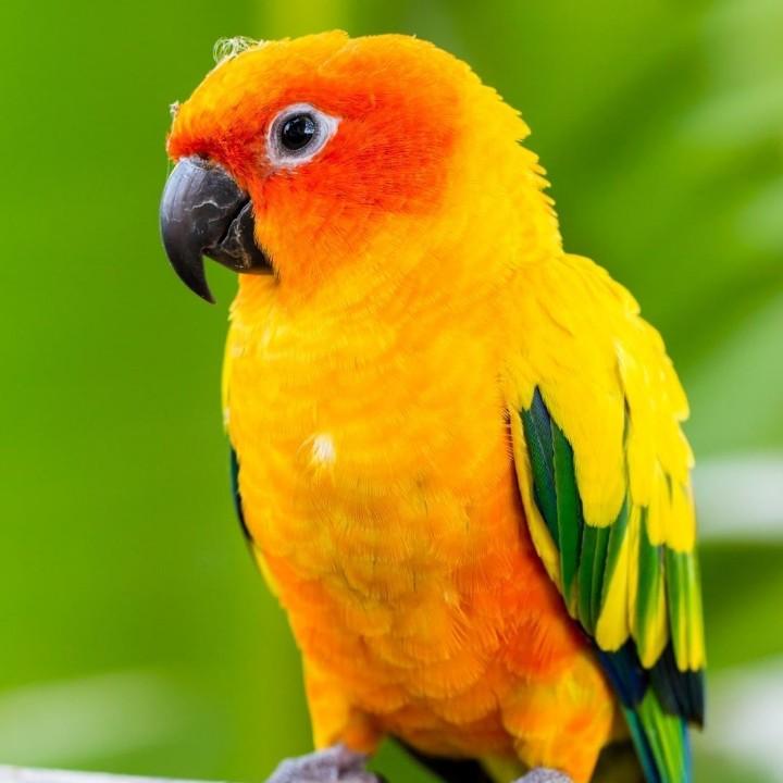 用户713602936985平平安安