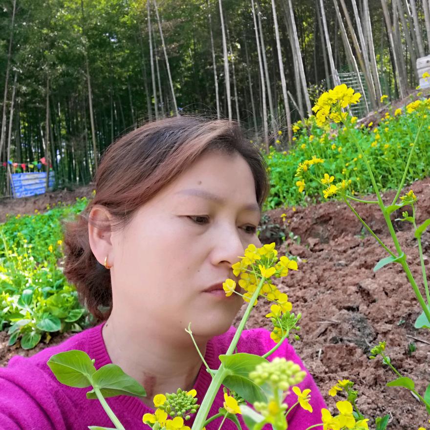 心灵手巧