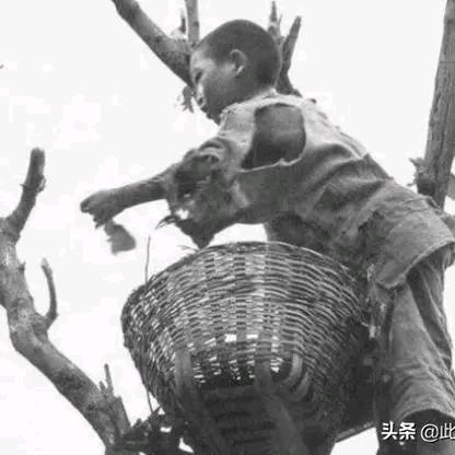 人在外头心在家