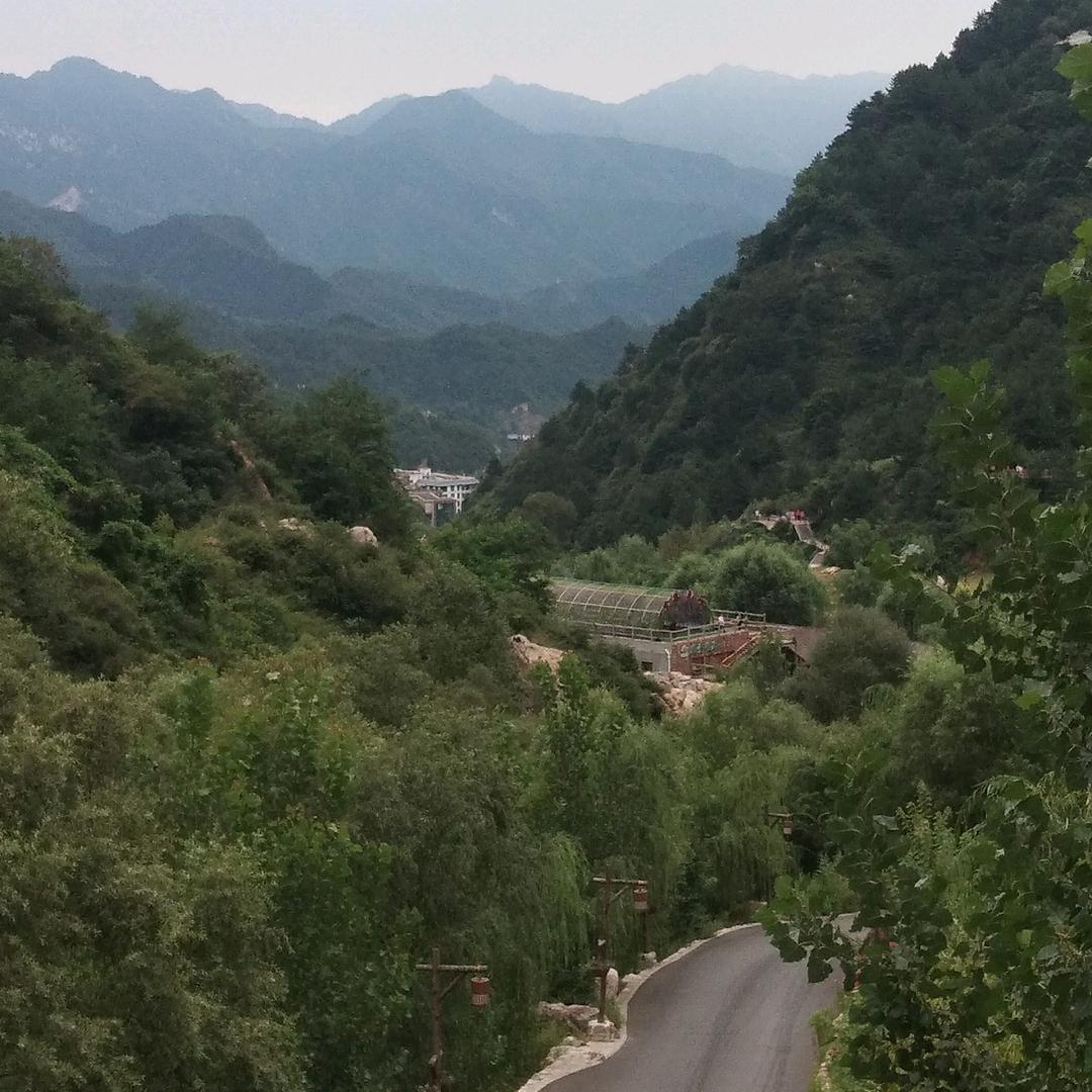 助人为乐