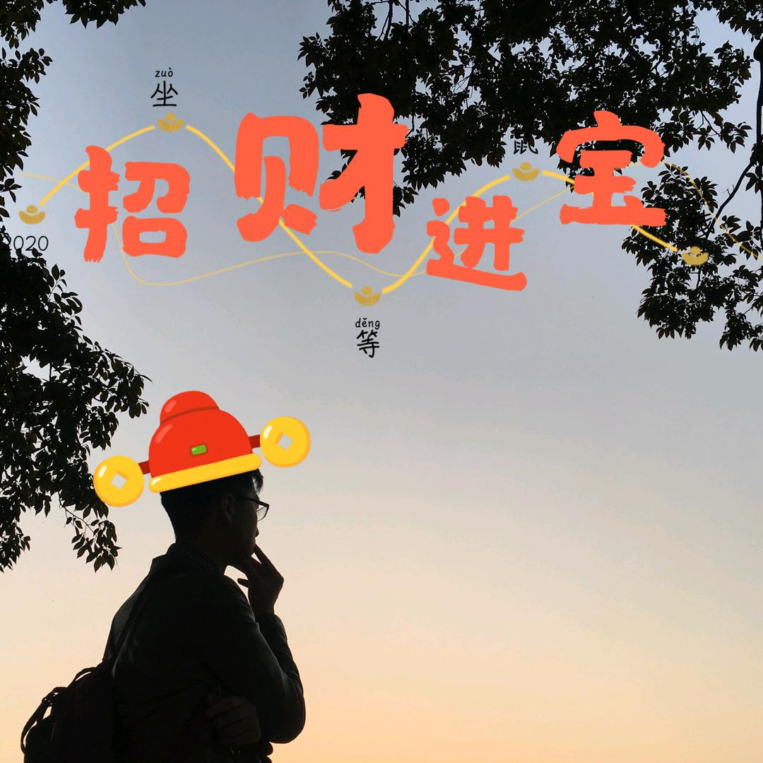 飞先生