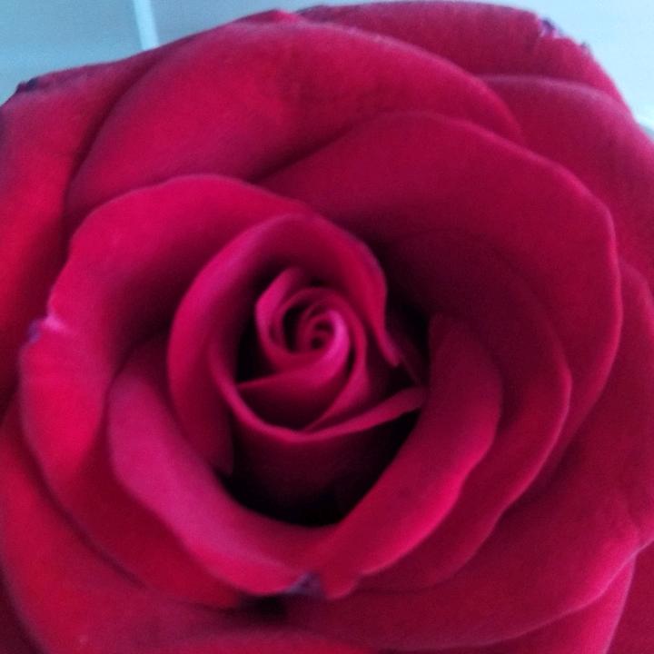 草
