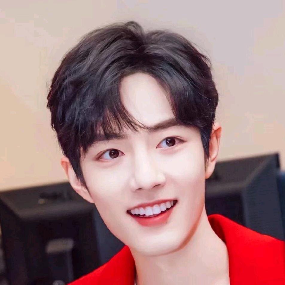 一生一世只爱肖战