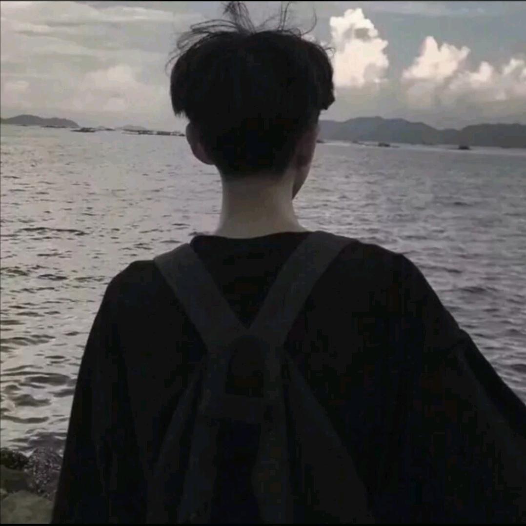 山河皆可平