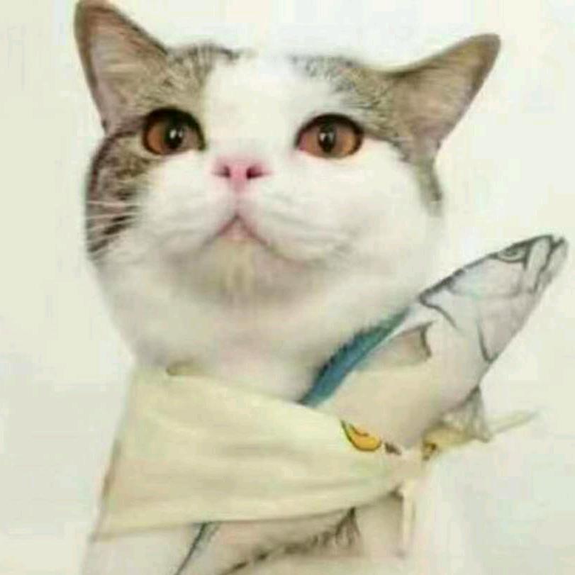 姚颜丽