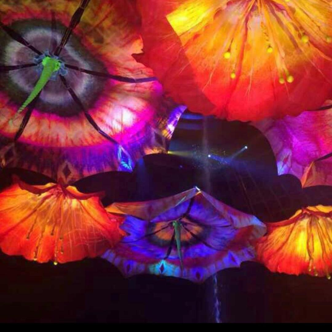 ✨華哥✨🌹華哥🌹