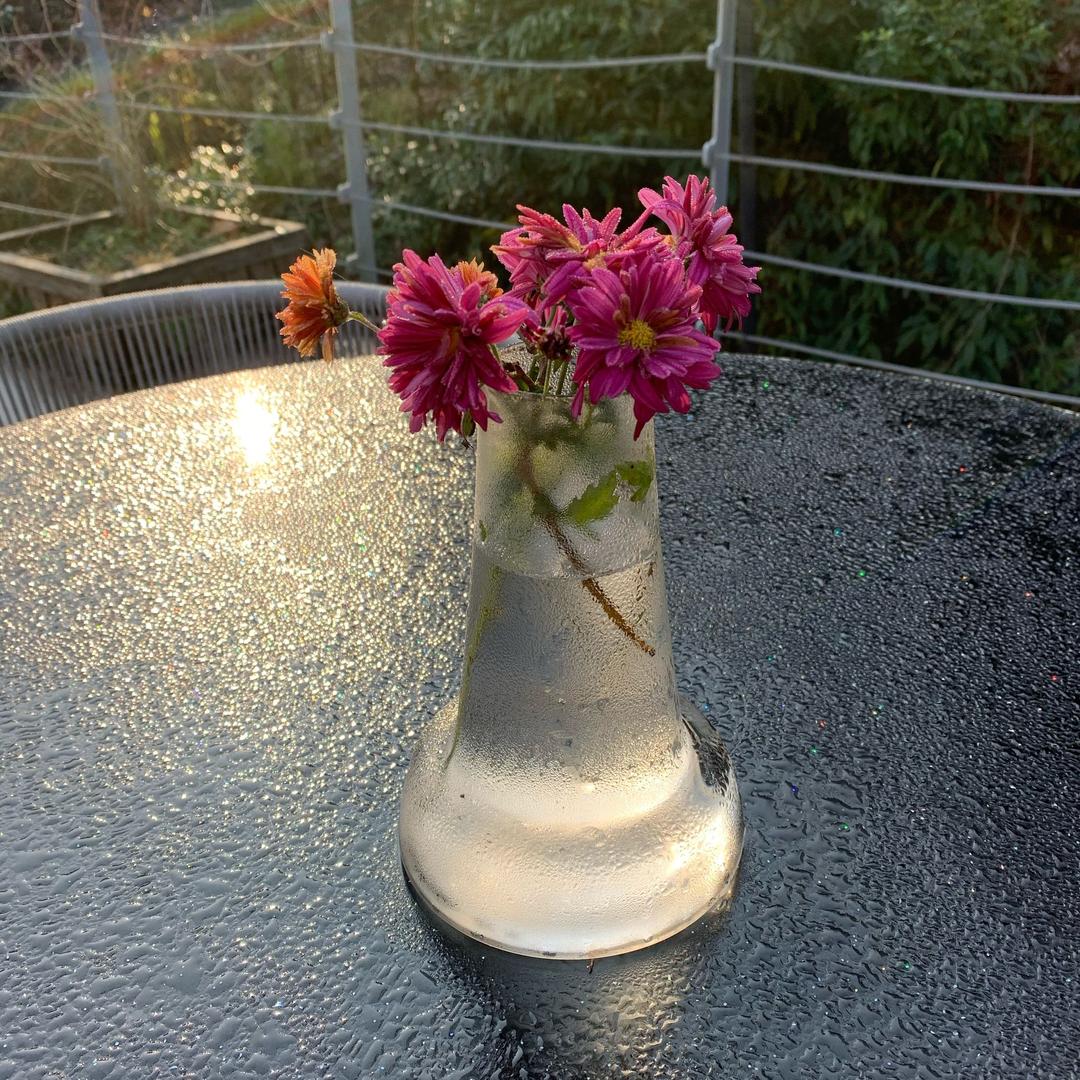 蜗牛的七月
