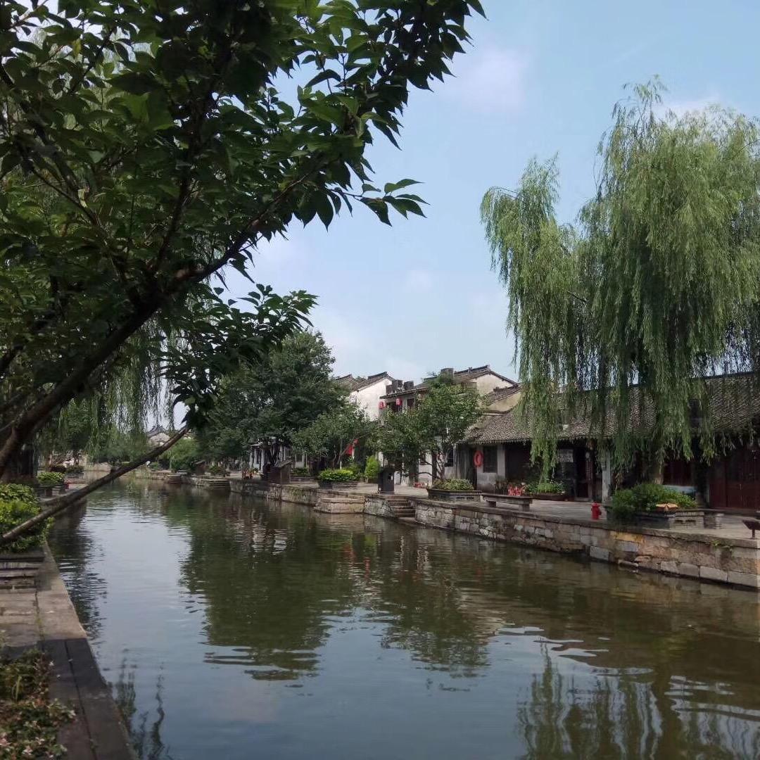 忠哥1976349441725