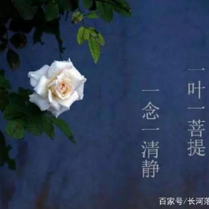 用户禅