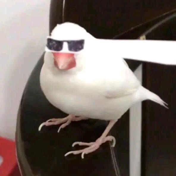 嗷呜
