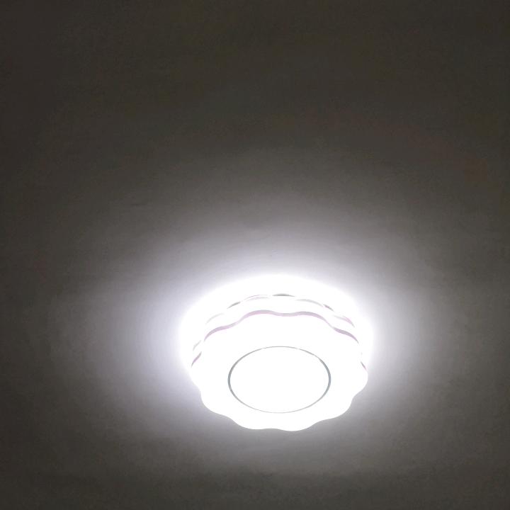 主的小羊