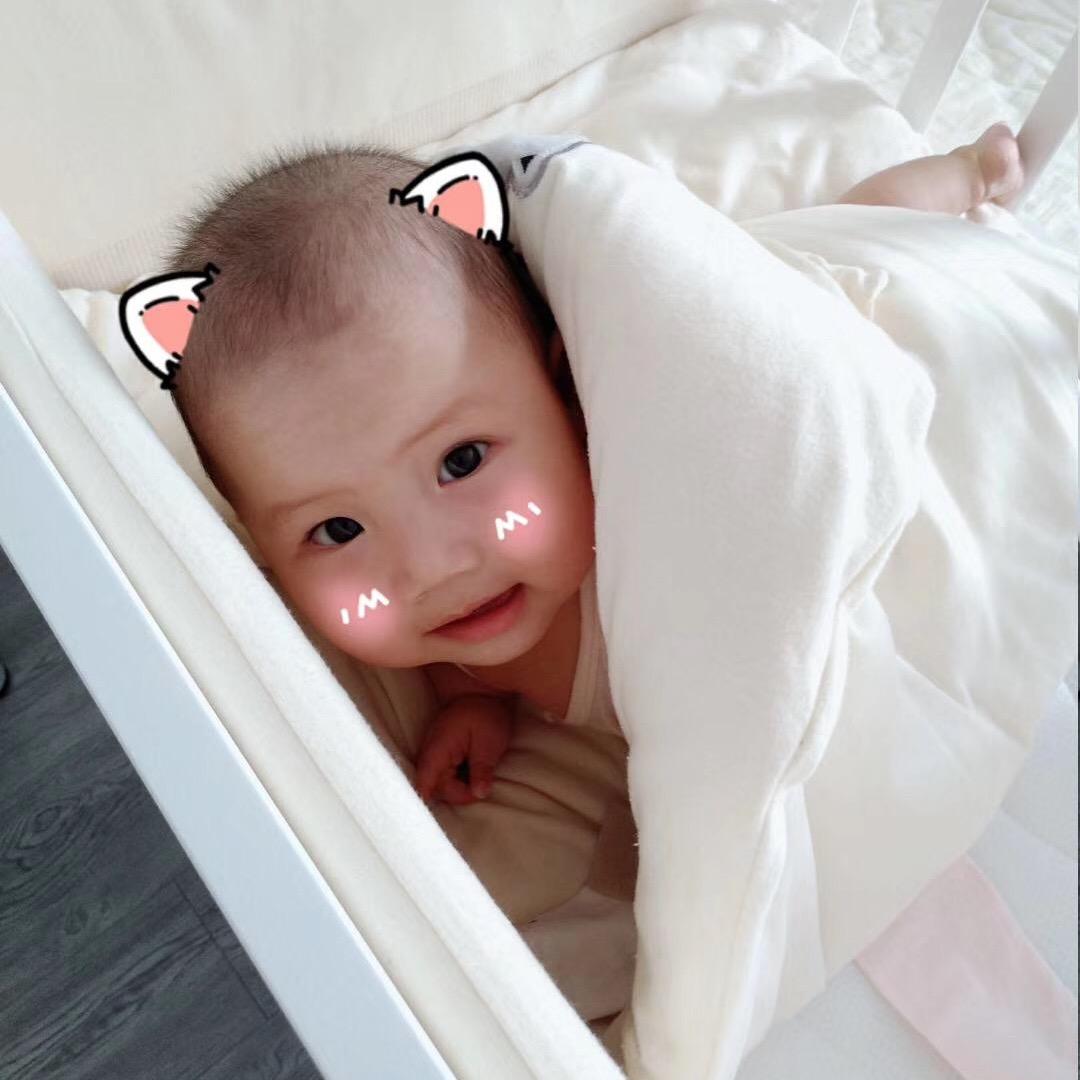 小猫小狗小牛子