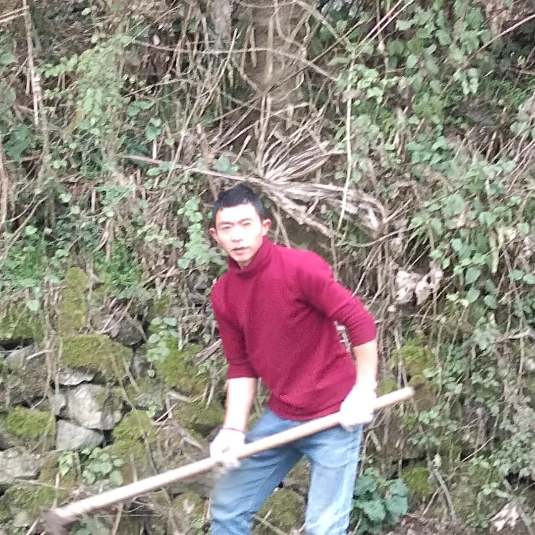 涟漪