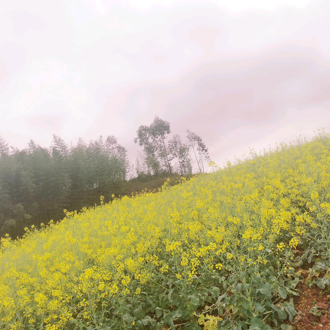 💞汤汤୧⍤⃝🐹୧⍤⃝