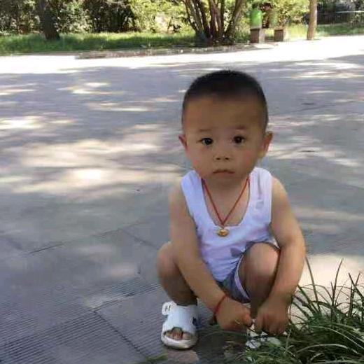 张  玲