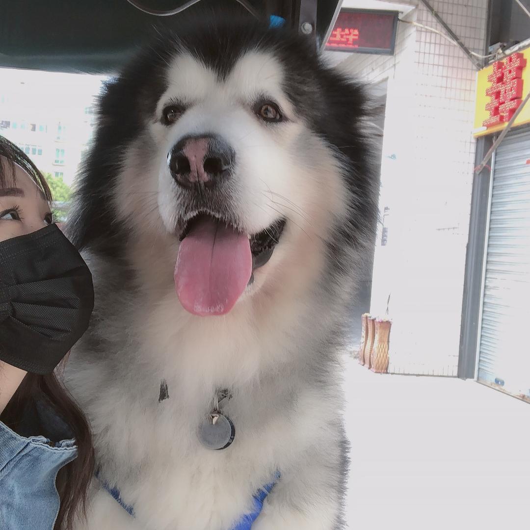 盲僧小胖它妈咪