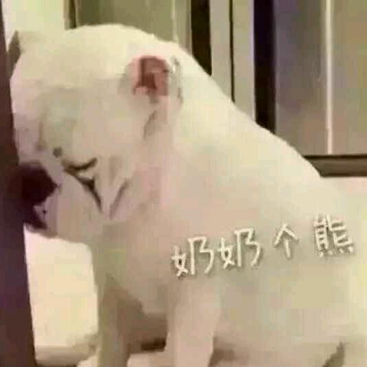 红尘如梦