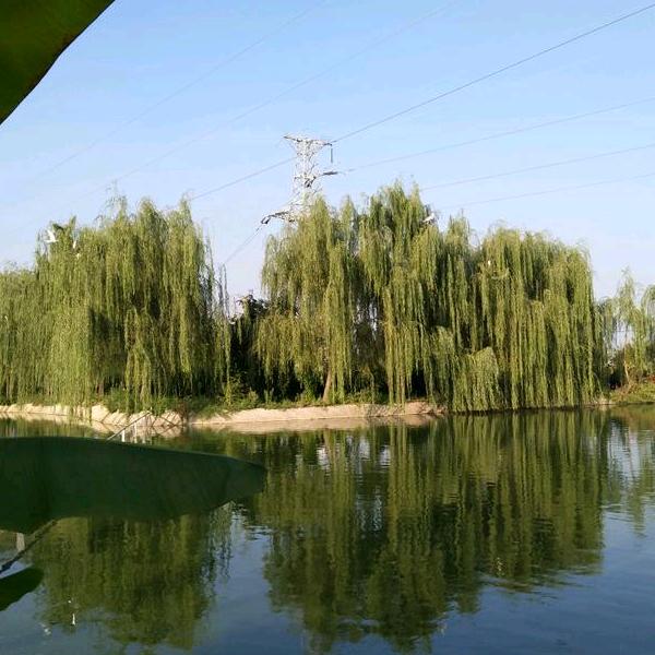 眉县搅团哥（碧水湾庄园）
