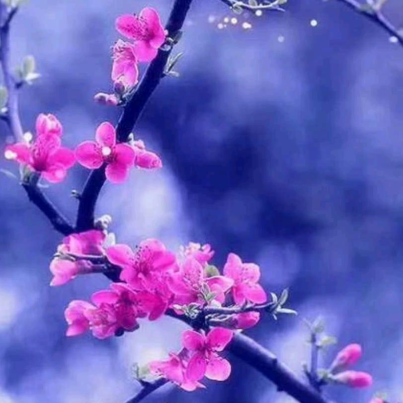 ，，，，荣