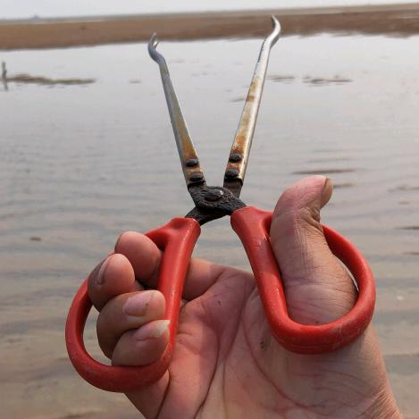 劳动的人赶海@抖音