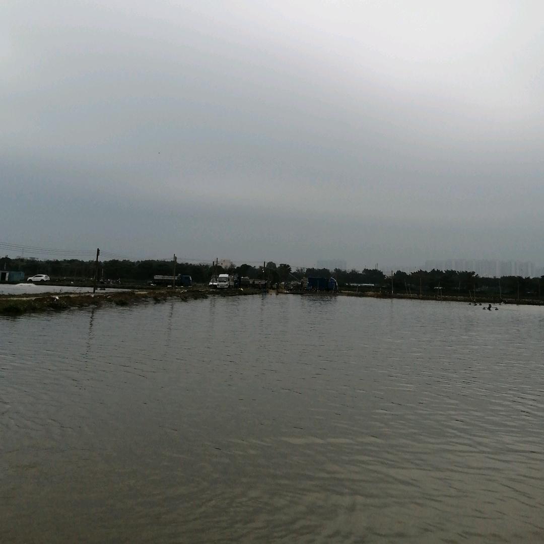 多年以后，，，