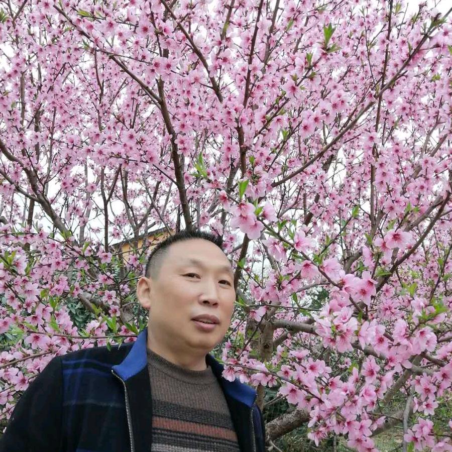 德阳市罗江友海家电销售有限公司