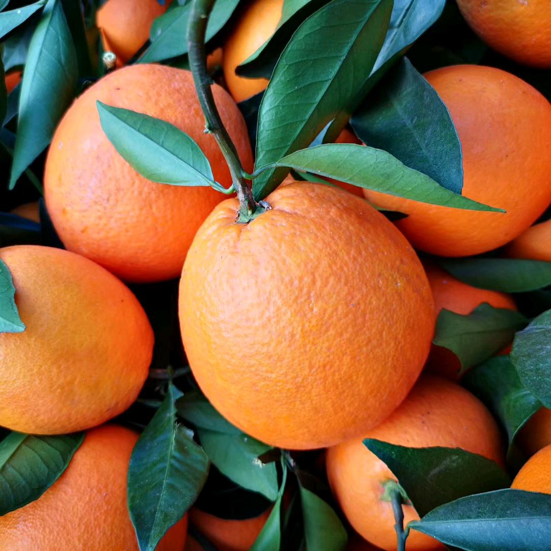 家电  水电安装