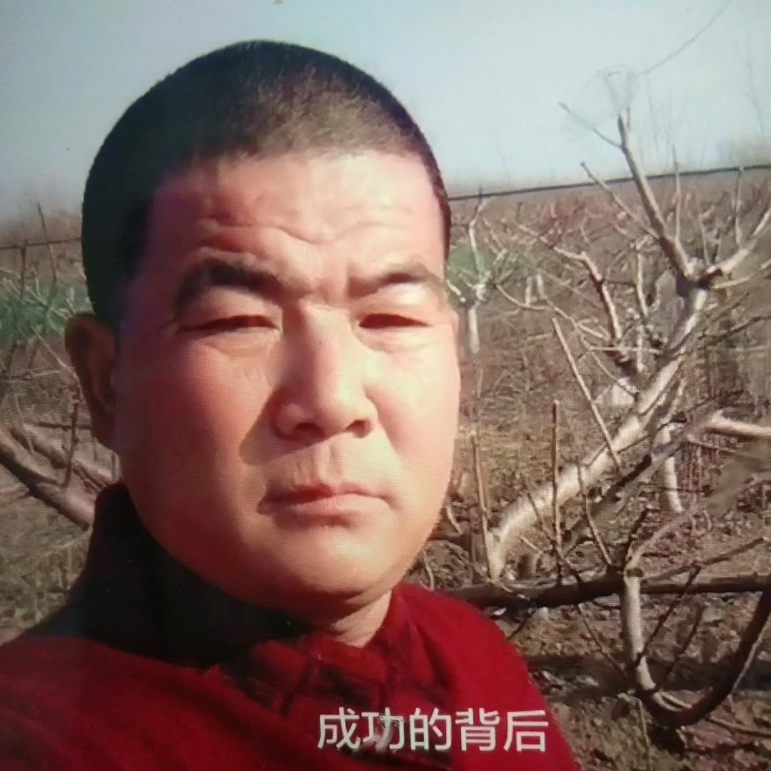 一路中有你（路中缘花木）
