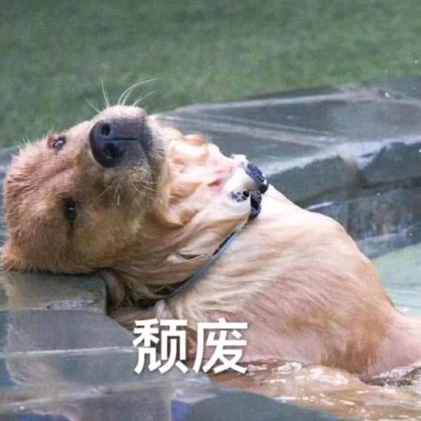 叩叩