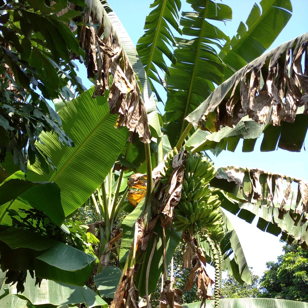 开心每一天。((拒绝私聊))