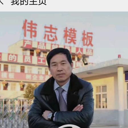 河南伟志模板