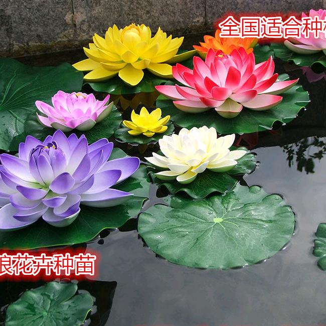 充满阳光