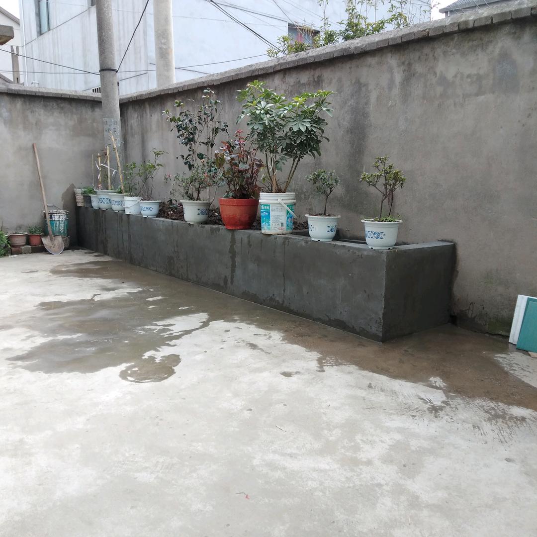 h志成