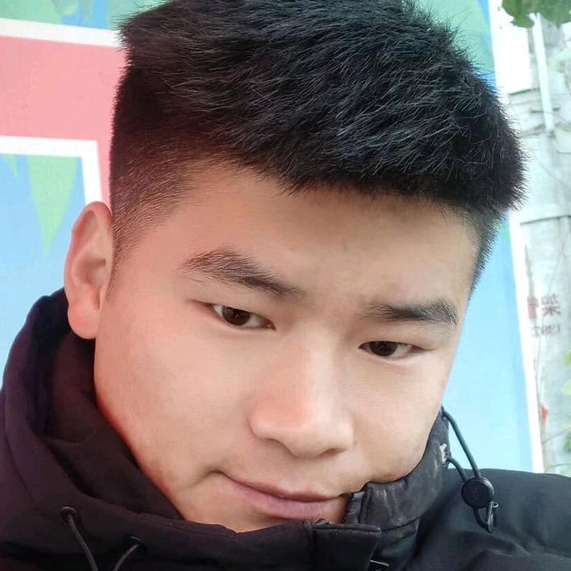 宠护