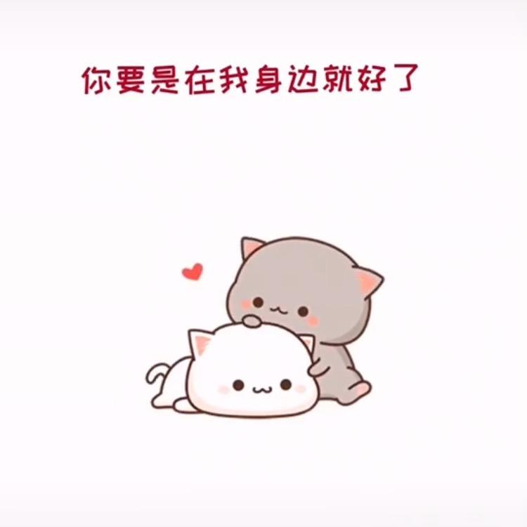 繁花落尽丶终是傷