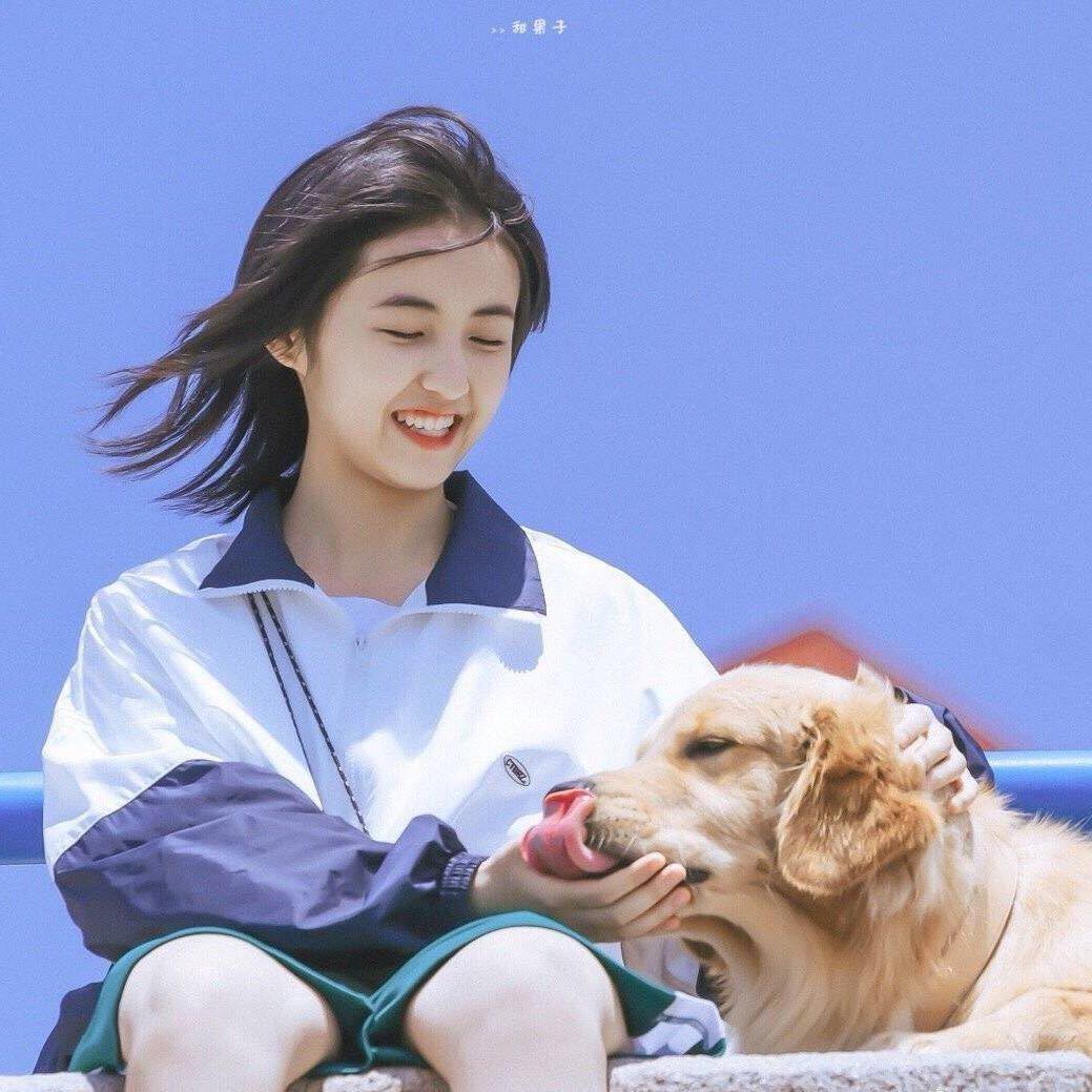 脂肪犀牛
