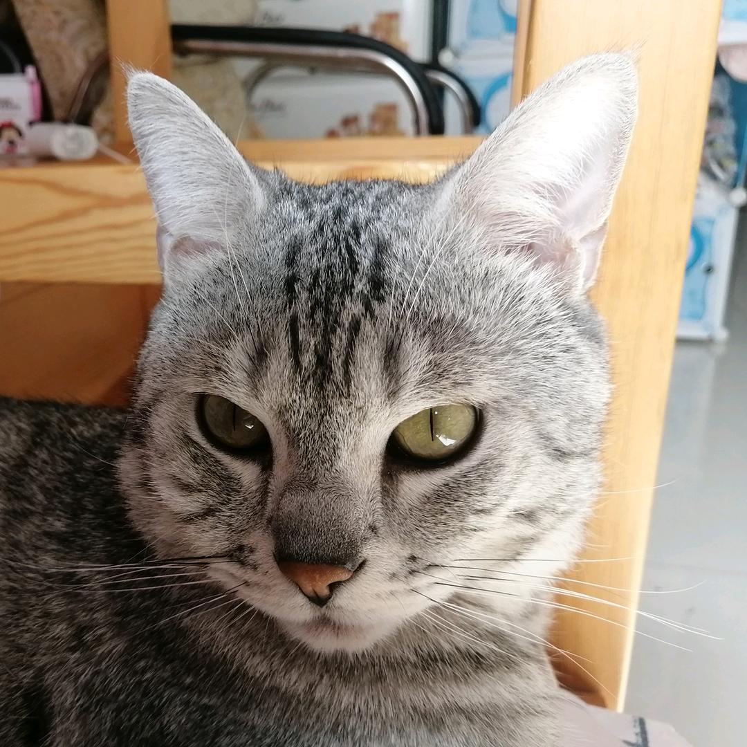 Linda (๑˙❥˙๑)