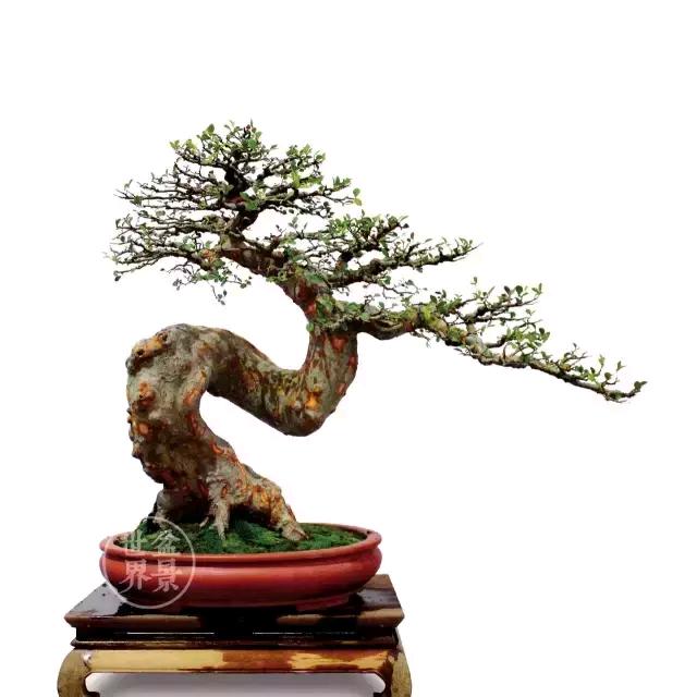 胡杰山