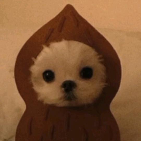 慌慌张张