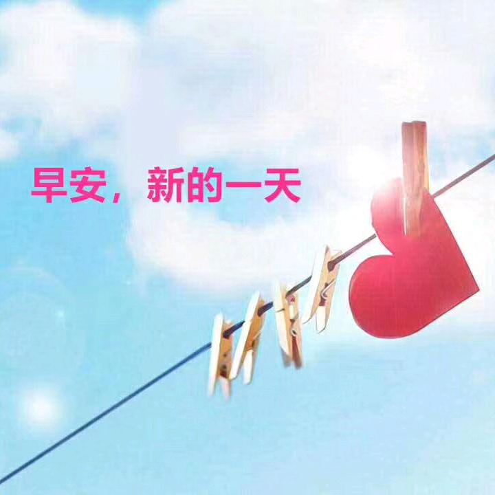 静待花开时
